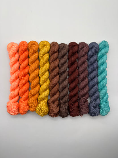 OOAK Roller Rink Fingering Mini Kit