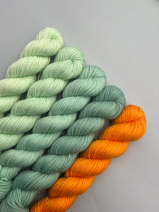 WARM February 50g Kit!