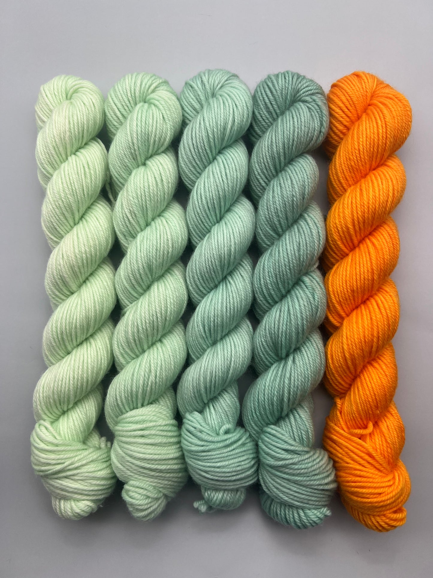 WARM February 50g Kit!