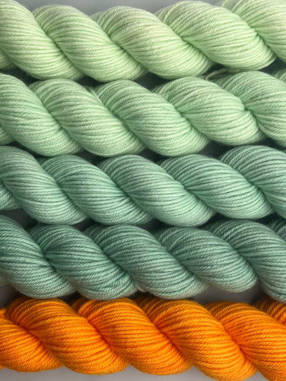 WARM February 50g Kit!