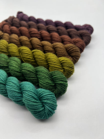 Woodmen Valley FALL DK Mini Kit