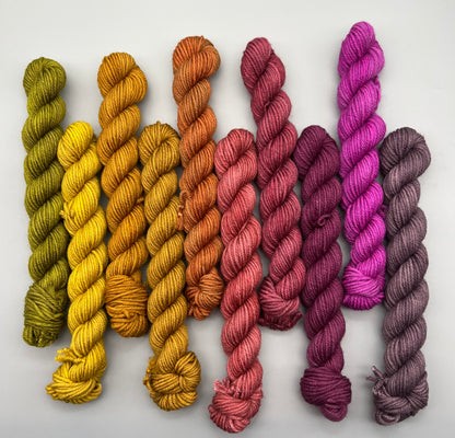 Lush WARM DK Mini Kit